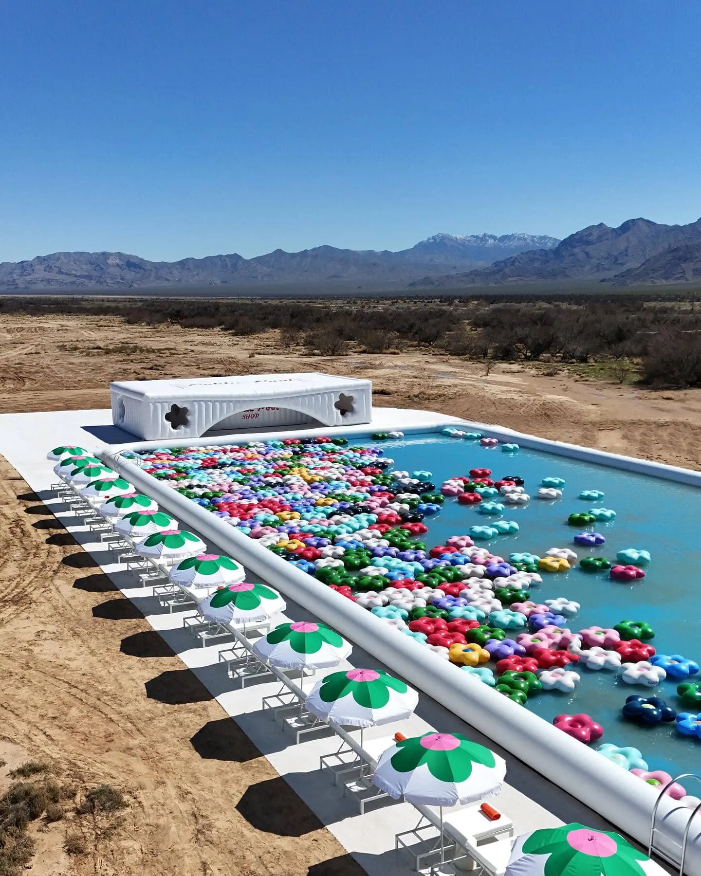 Public Pool Flower Float (Pink)